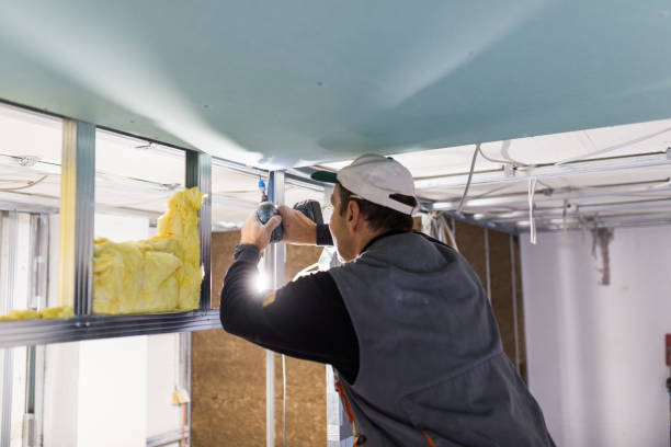 Best Commercial Insulation in Lipscom, AL