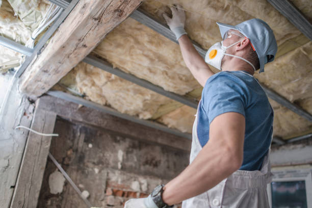 Best Residential Insulation in Lipscom, AL